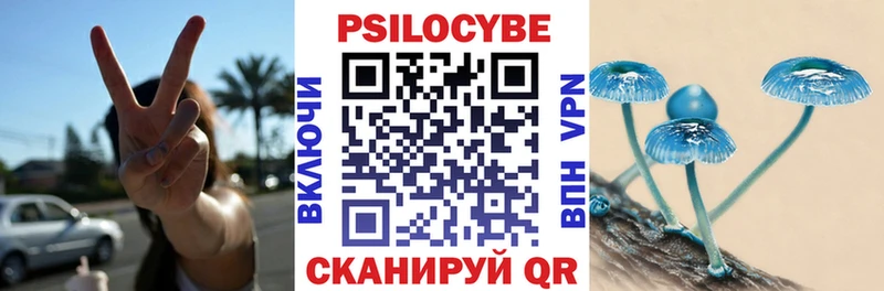 Псилоцибиновые грибы Psilocybe купить Дедовск