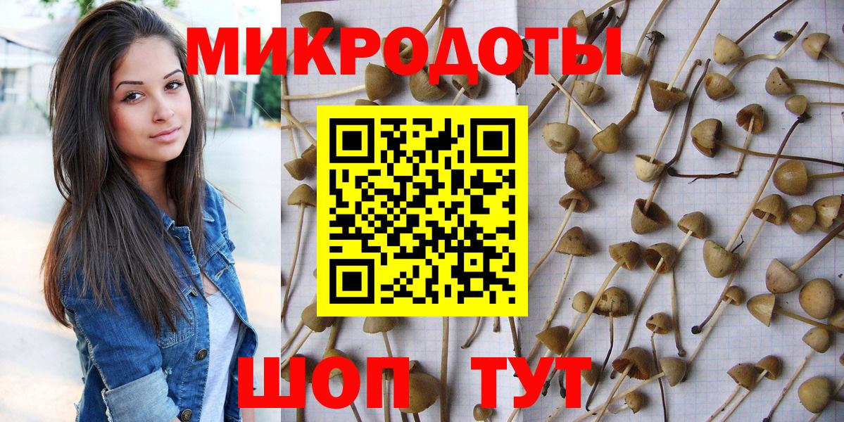 Псилоцибиновые грибы GOLDEN TEACHER  Дедовск  Галлюциногенные грибы Magic Shrooms 