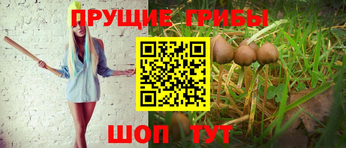 Псилоцибиновые грибы мухоморы Дедовск