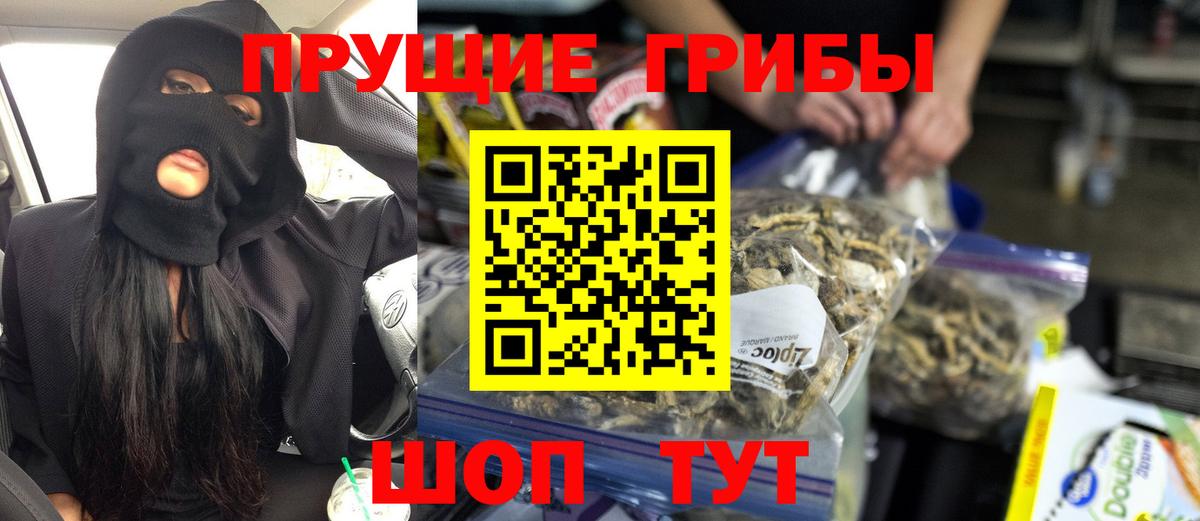 Псилоцибиновые грибы Psilocybine cubensis  Вход с VPN  что такое наркотик  Дедовск 