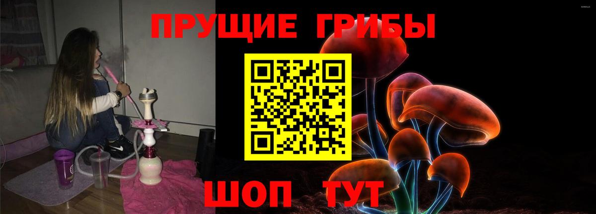 Галлюциногенные грибы Magic Shrooms Дедовск